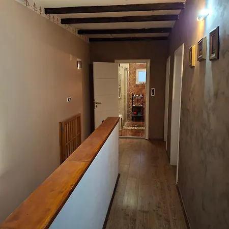 Tara Belgrado